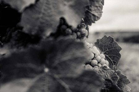 Redekunde_014- andreamuehleck